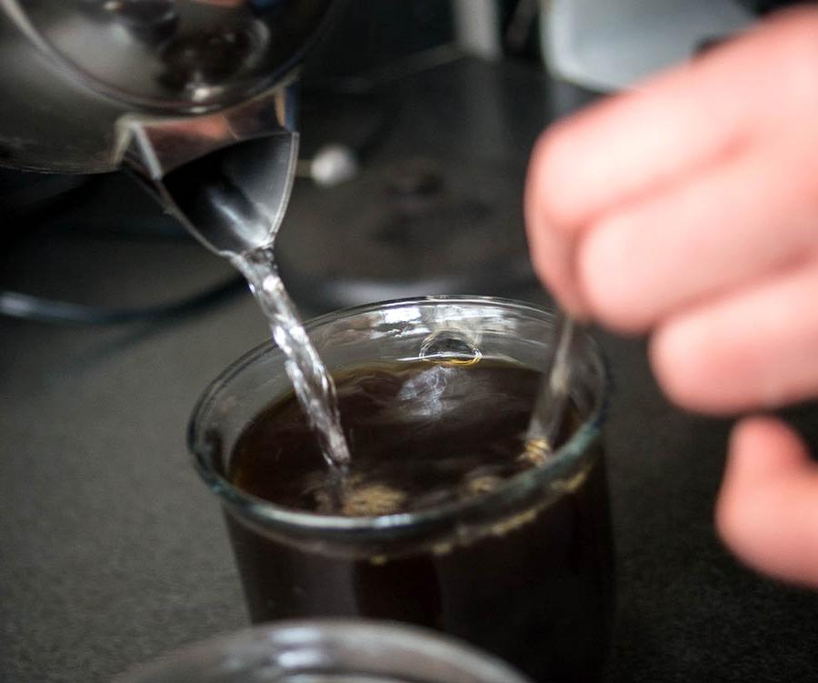 Как в Starbucks: фирменные холодные латте и каппучино с холодной молочной пеной (рецепт)