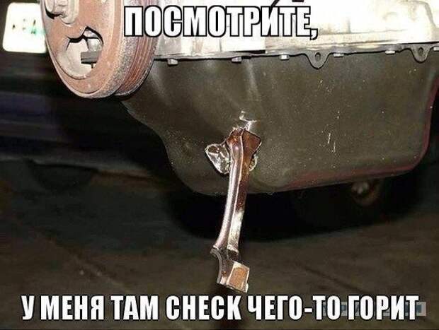 Приколы за рулём
