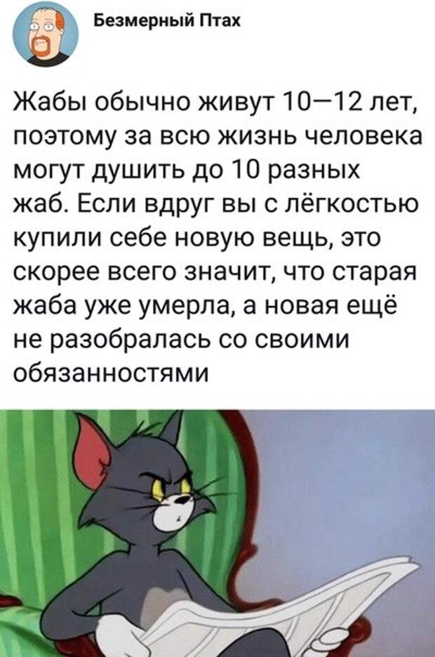 картинки