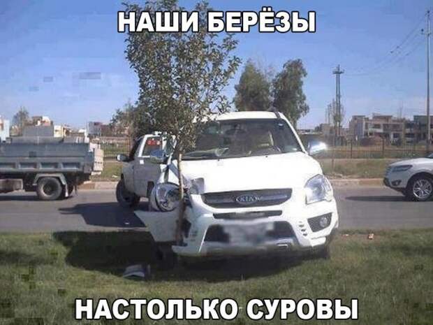 ПОЗИТИВНЫЙ ПОСТ+ 192