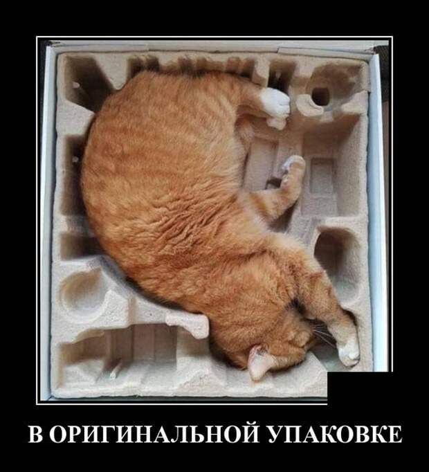 www.vsyako.net