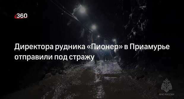 Суд отправил в СИЗО директора рудника «Пионер» в Приамурье