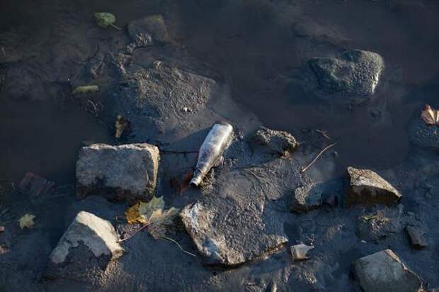 Прокуратура обнаружила сброс сточных вод в реку Малую Сестру