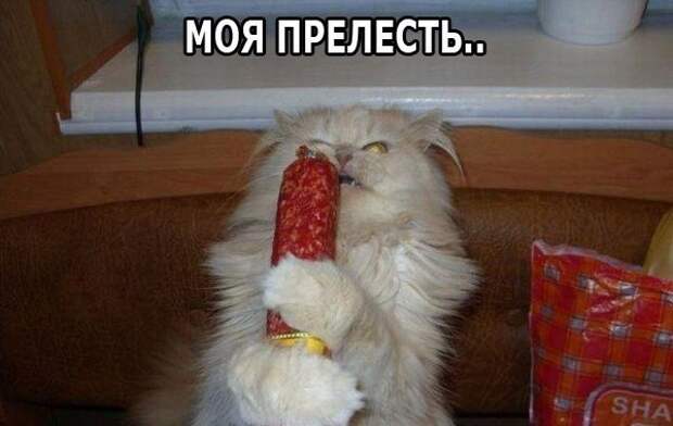 Всяко - разно 11 ))) Всяко - разно 11 )))