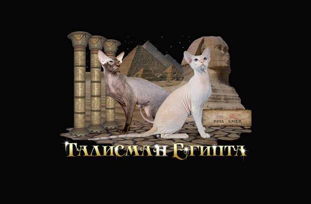 http://tapka.net/screens/1318-talisman-egipta.jpg