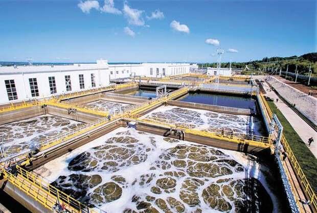 Деятельность «Роснефти» получила высокую оценку в области охраны окружающей среды