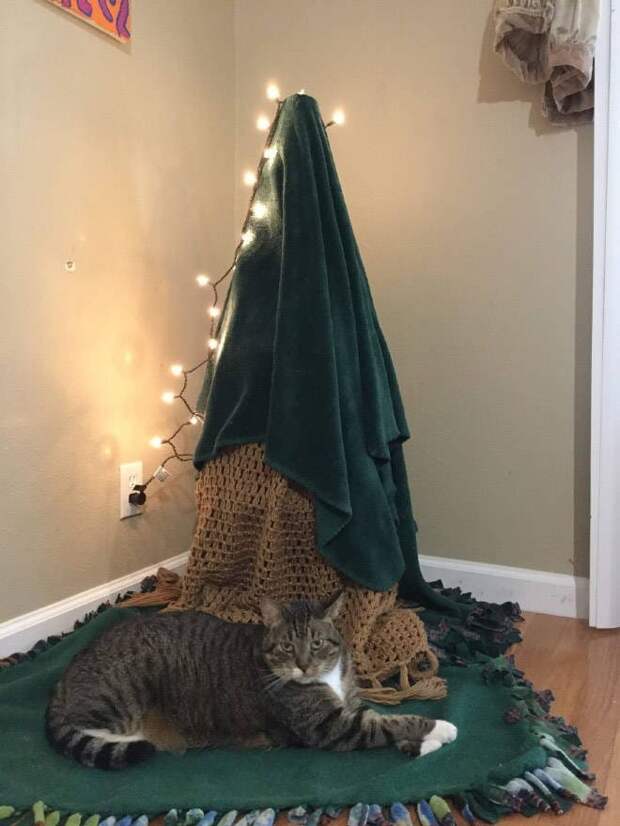 Кто кого: кошки против новогодних елок. Скоро в каждой квартире страны