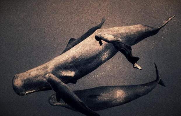 Люди и животные