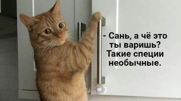 Главные, лучшие и самые смешные мемы — апрель 2026 года