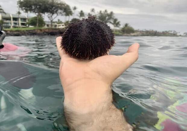 Человек плывёт в море? Человек плывёт в море?