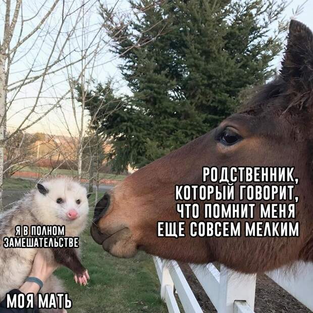Здрасьте, спасибо Здрасьте, спасибо