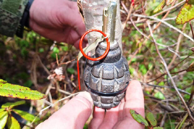 В Амурской области с инженерами ВВО проведены практические занятия