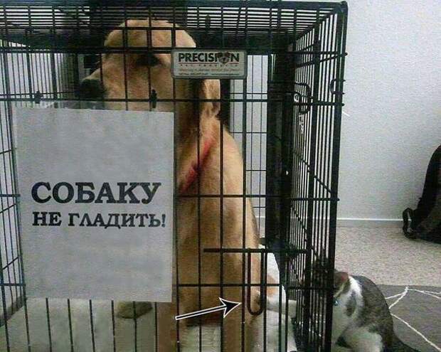 ZJcUGyqKZrs
