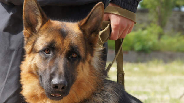 Фото: мвд.рф