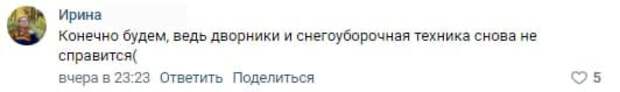 Вместо качественной уборки снега власти Петербурга посоветовали гражданам быть аккуратнее на улицах