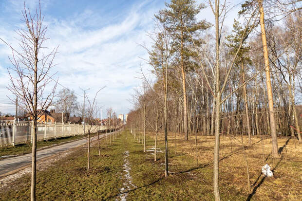 "Тульские парки" и Центральный парк стали финалистами премии "Парки России"