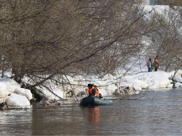 Названа дата похорон утонувшей в Звенигороде 13-летней Алины