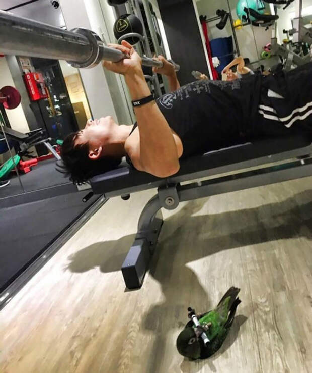 17 курьезных случаев в спортзале, которые удалось запечатлеть на снимках