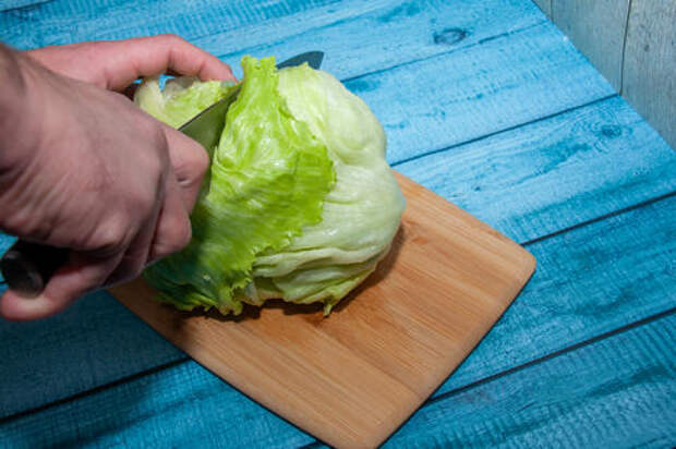 На Кубань завезли египетский салат-латук. Но что с ним нечисто?