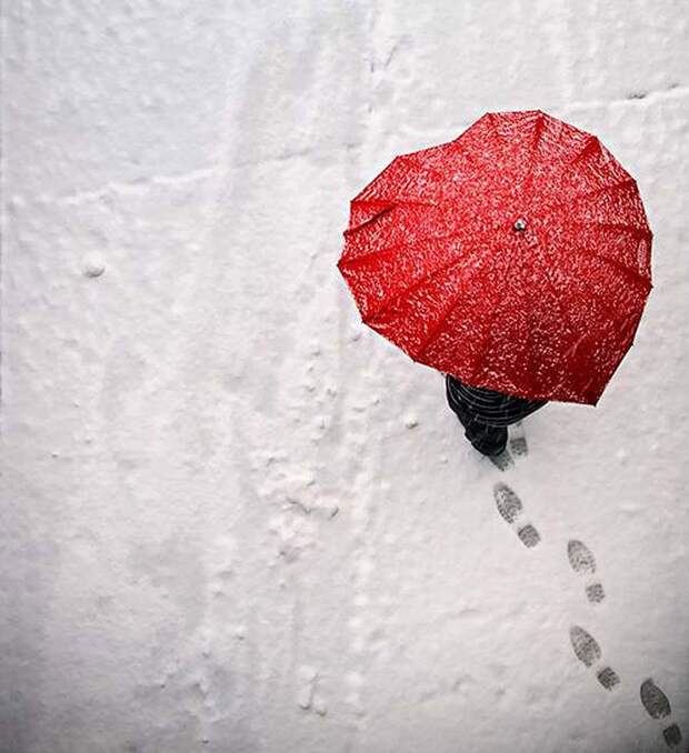 Umbrellas29 19 удивительных зонтов для осени
