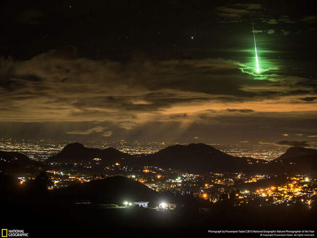 2016-national-geographic-nature-photographer-of-the-year-winners-8-584fb7940835e__880