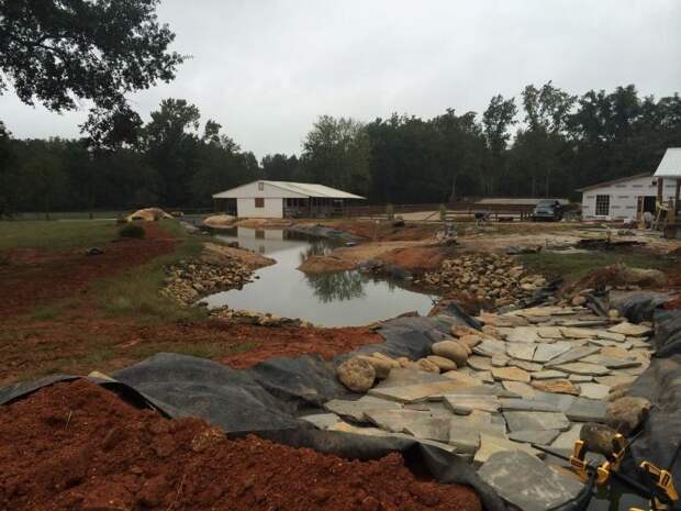 Площадь около дома выглядела скучно. Мужчина потратил три года и своими руками создал красоту: фото