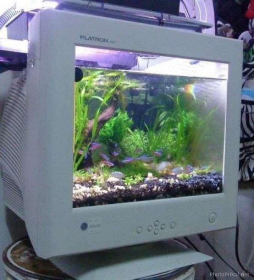 Приколы... Приколы...