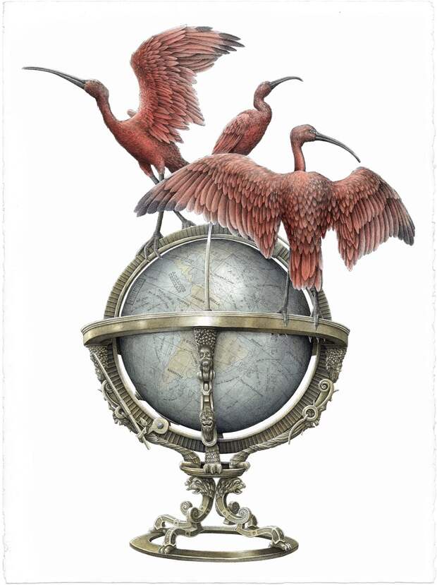 GLOBE.jpg GLOBE.jpg