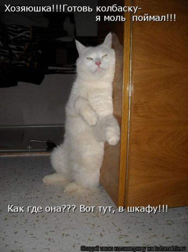 Мысли вслух :)