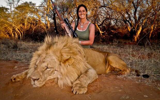 Мелисса Бэкман - Охота на льва в Южной Африке