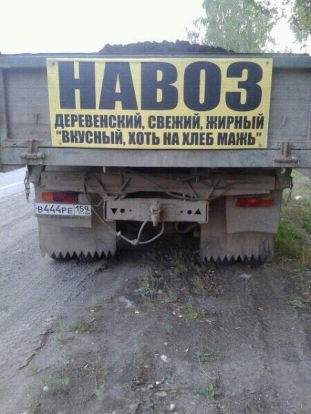 Смешные картинки с надписями прикол, юмор