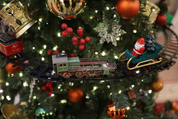 Волгоградские чиновники объяснили, почему второклассницу не пустили на ёлку из-за 250 рублей