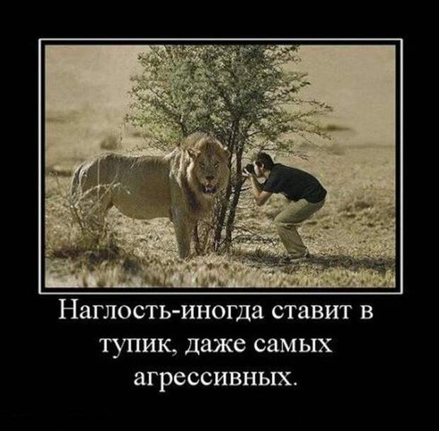 Всячина...