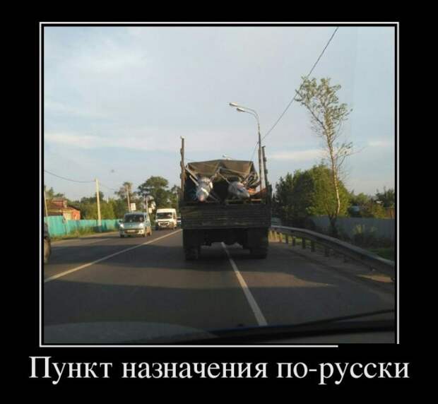 Позитивные и смешные демотиваторы (11 фото)