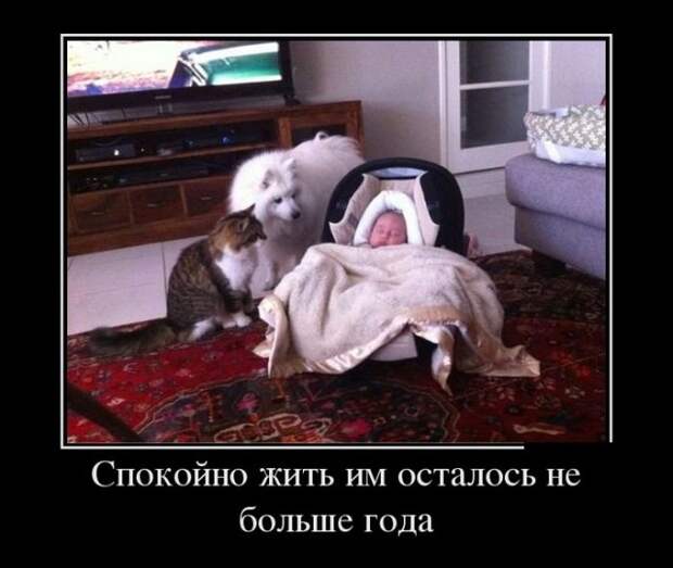 Прикольные новые демотиваторы