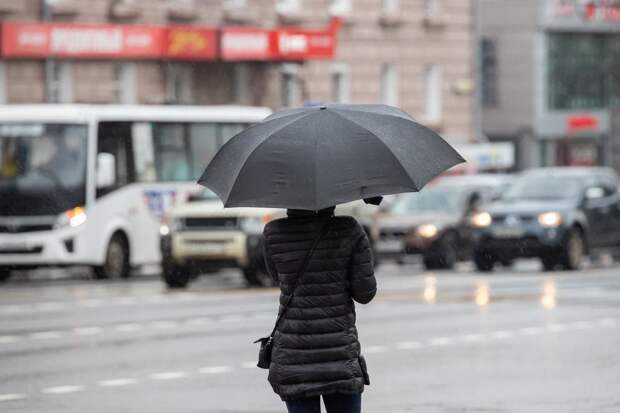 В Туле 4 апреля потеплеет до +12 градусов и пройдет дождь