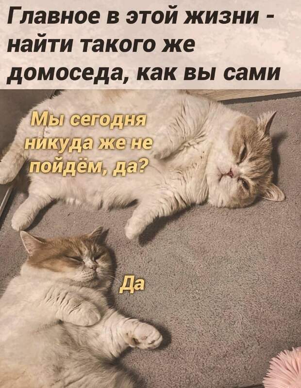 Планы на воскресенье https://t.me/webmoney_dn/311275