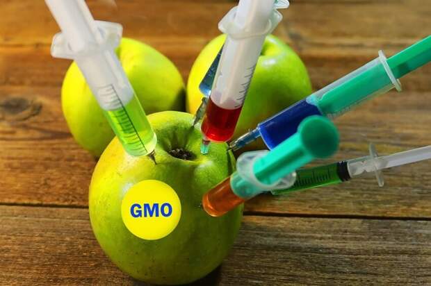 Ликбез: что такое ГМО и вредны ли такие продукты?
