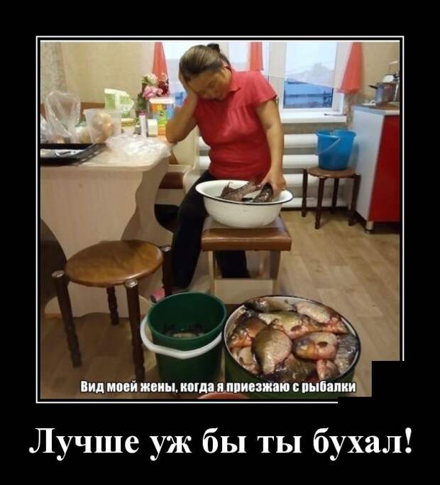 Демотиваторы Пятницы 09.11