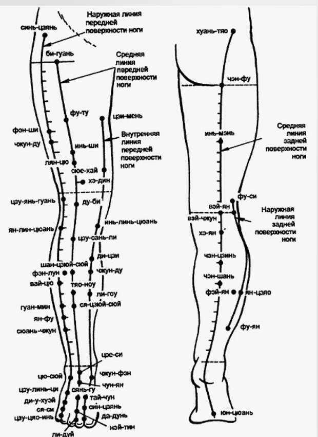 Меридианы ног. Фото из открытого доступа