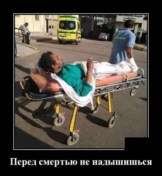 Демотиваторы (20 фото)