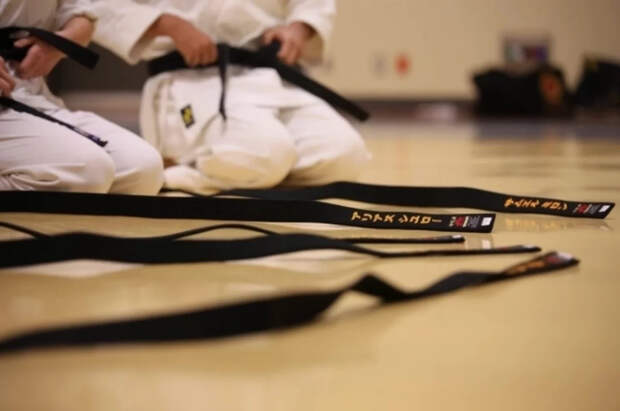 Каратисты Запорожской области взяли восемь медалей на турнире в Волгограде