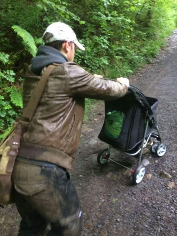 Экстремальная романтика: влюбленные чуть не упали в водопад во время предложения руки и сердца