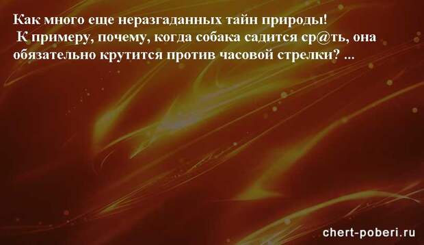 Самые смешные анекдоты ежедневная подборка chert-poberi-anekdoty-chert-poberi-anekdoty-48130111072020-12 картинка chert-poberi-anekdoty-48130111072020-12
