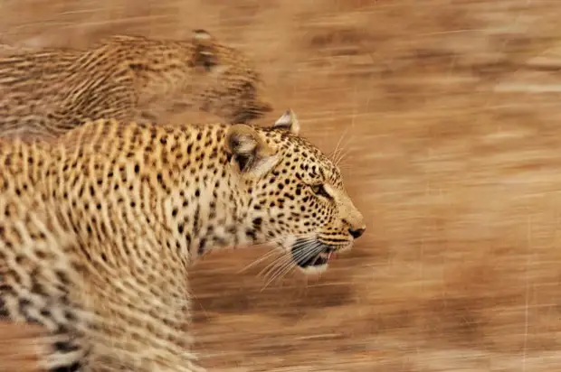 :        6 - BigPicture.ru