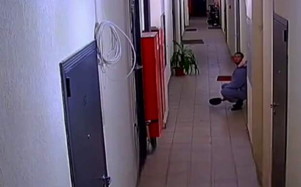 Мужчина в костюме динозавра берет в руки сковородку и бегает по подъезду