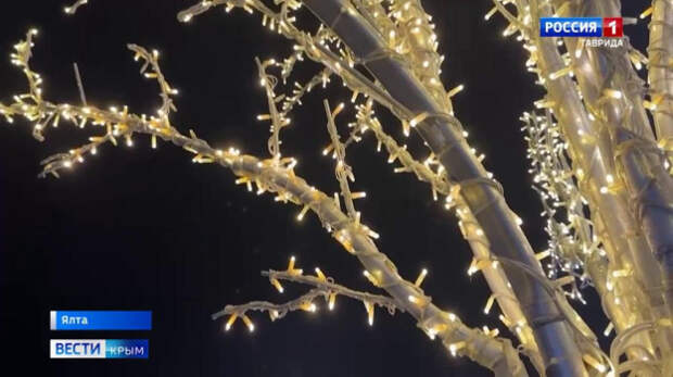 Крым занял первое место в стране по динамике увеличения турпотока по итогам 2025 года