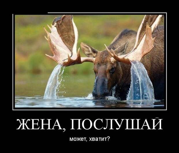 Демотиваторы (30 фото)
