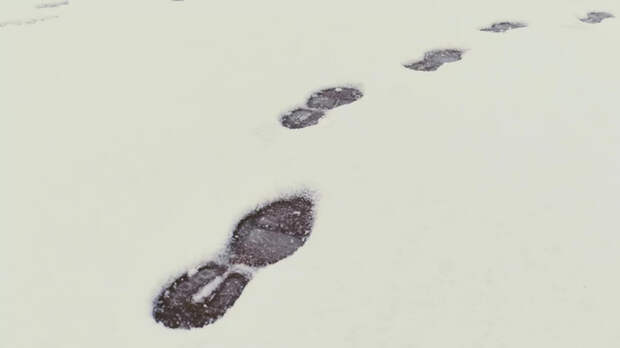 Жителей Москвы попросили не выходить из дома из-за снежной погоды