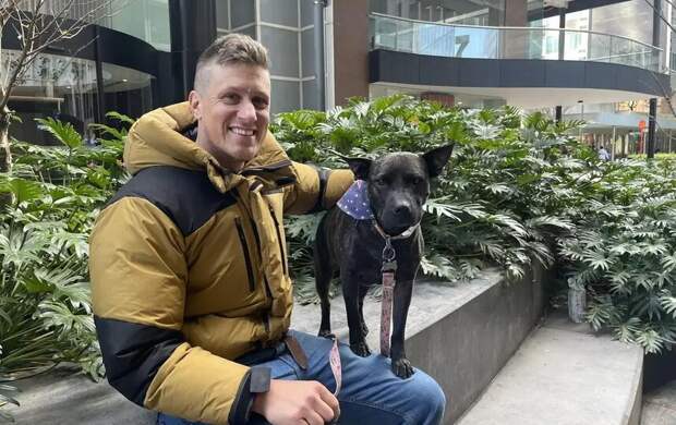 Австралиец вылечил свою собаку от рака с помощью искусственного интеллекта